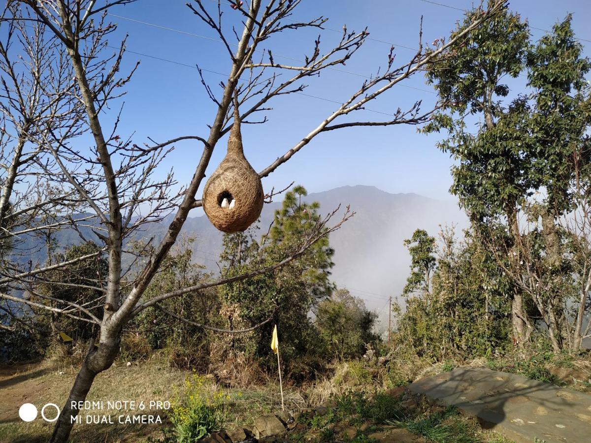 In Apple Estate Kanatal - Himalayan View Resort With Courteous Staff Exterior foto