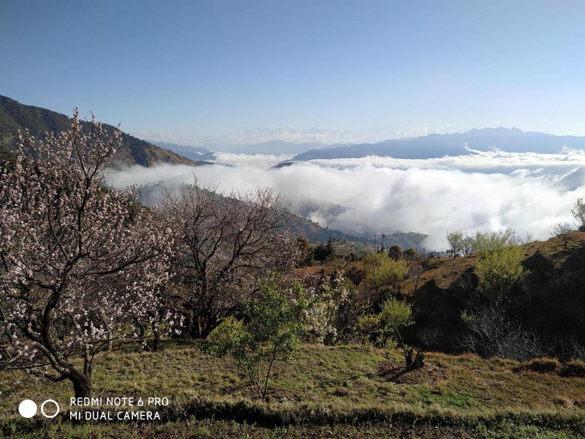In Apple Estate Kanatal - Himalayan View Resort With Courteous Staff Exterior foto