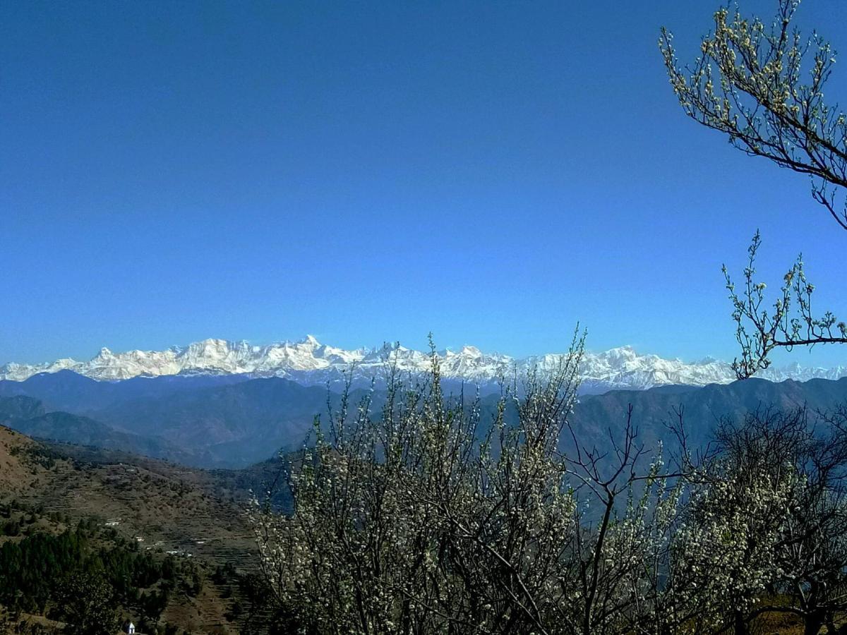 In Apple Estate Kanatal - Himalayan View Resort With Courteous Staff Exterior foto